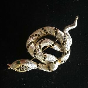 Mandel rare snake broach.